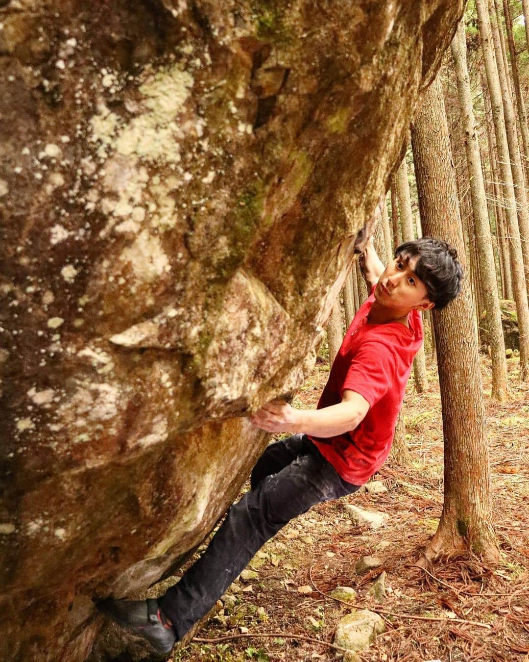 野村真一郎のインスタグラム：「初の下呂で3日間ツアー！  一個一個の岩が大きくカッコ良すぎて、色んな岩に目移りしてしまうようなエリアでした。スケール感が違いすぎる。3日間じゃ全然足りなかったなぁ。 そして、少し行く時期をミスったかなってレベルで寒かった。寒いと身体が動かなくなる僕にとってはもう少し暖かい時期に来たいと思いました。 ツアーの詳細は、ブログやROKDOにてアップします。  そして、那由多を生で見る事が出来てよかった。ワールドロックのスケール感に驚愕。今度はしっかり那由多に向けて準備して、トライしてみようと思います。パラダイムはどちらかというと得意系だったので、もう少し暖かい時期に来れば繋がりそう。  下呂はまじで楽しすぎて、またすぐにでも行きたい。テンション上がって登りすぎて、今日は指皮の圧痛がやばい。。。  @naoki__shimatani 3日間ありがとう。 _____________________________________________  【Tick lists】 ・Nayuta/那由多 V16✖️ ・Paradigm/パラダイム V14✖️ ・Permanent Green/パーマネントグリーン V13✔️ ・Goetia/ゴエティア V13✖️ ・Uncle Sam/アンクルサム V12✔️ ・Gomora/ゴモラ V11✔️ ・Sodom/ソドム V10✔️ ・Anthem SD V10✔️ ・Steal Perm/スチールパーマ V10✔️ ・Anthem/アンセム V9✔️ ・Hida Copter/飛騨コプター V8✔️ ・Mojo V7✔️ ・Senjukannon/千手観音 V6✔️ ___________________________________________  📸: @naoki__shimatani  @rokdo_team @unparallelup @monturajapan @montura_official @rockmasterhq @hamasakichiryoin0929 @clover_resole」