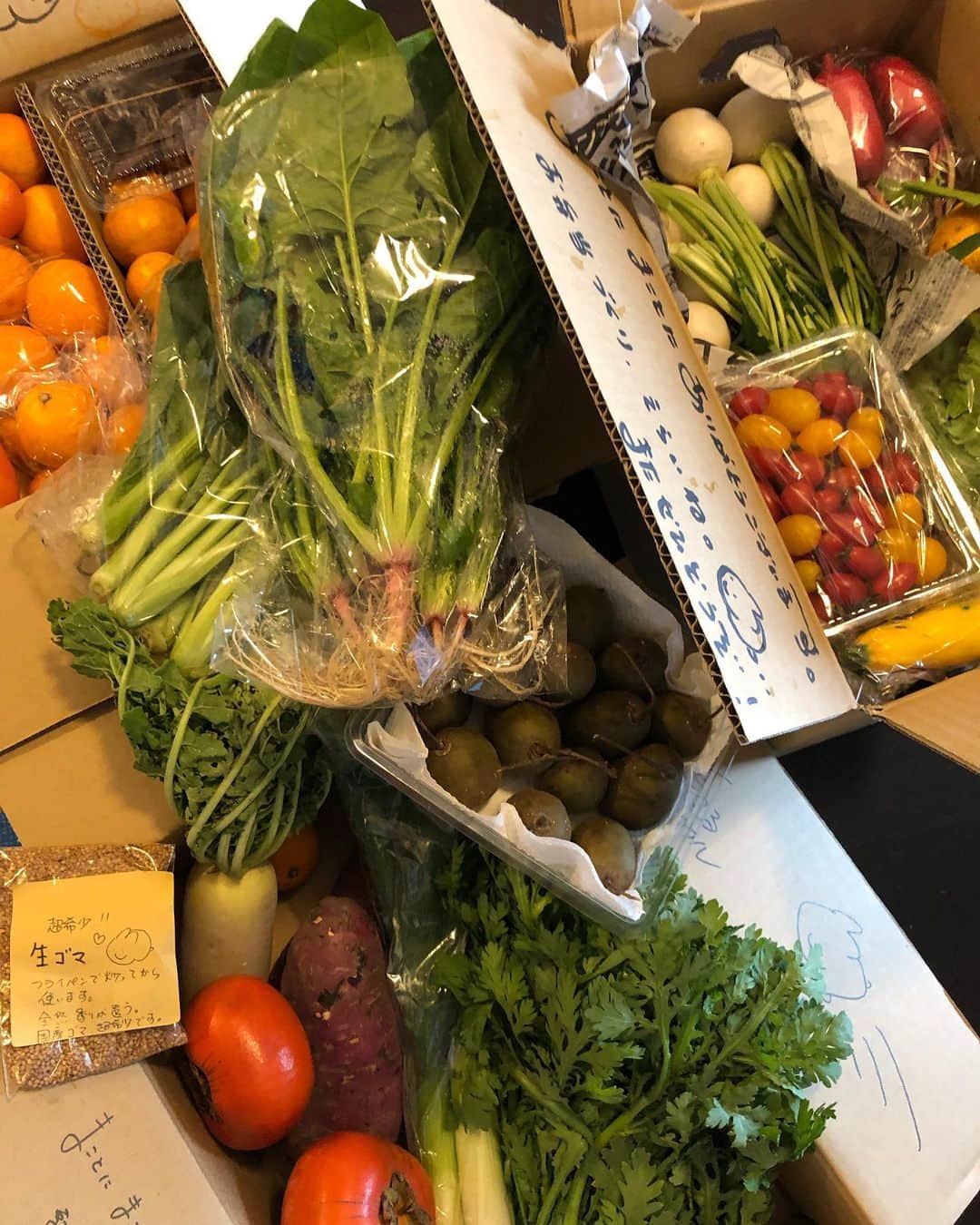 のインスタグラム：「愛たるベジタブルさん　@italvegetable から、採算度外視した素敵なフルーツと野菜の詰め合わせが届いた〜\(//∇//)\  開けて見てるだけでワクワク(≧∀≦)  有機栽培で育った貴重な野菜や、お弁当にも使えそうなお野菜、フルーツも沢山あって、ありがたい限りです(๑>◡<๑)  早速お昼ご飯の時に柿とレインボーキウイをカット(o^^o)  大根はオススメ通りレモン汁と蜂蜜と塩とオリーブオイルでマリネ( ^ω^ ) いろんな種類の大根があって、カラフルで綺麗！ しかも美味しいのだ〜！  いつもありがとうございます☆*:.｡. o(≧▽≦)o .｡.:*☆  #愛たるベジタブル#有機栽培#野菜#フルーツ#詰め合わせ#幸せ#もりもり#食べるのが楽しみ#カラフル#大根のマリネ」