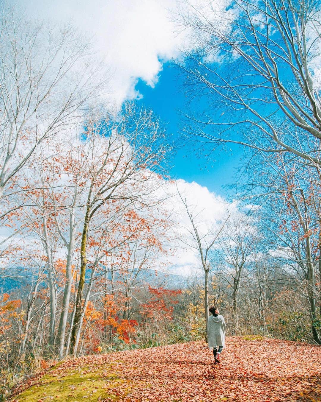 yukiさんのインスタグラム写真 - (yukiInstagram)「・ ・ ・ Beautiful autumn days ・ ・ ・ ◉sty830 base shop◉ https://sty830.base.shop/ ・ ・ ・ #新潟」12月5日 20時13分 - sty830