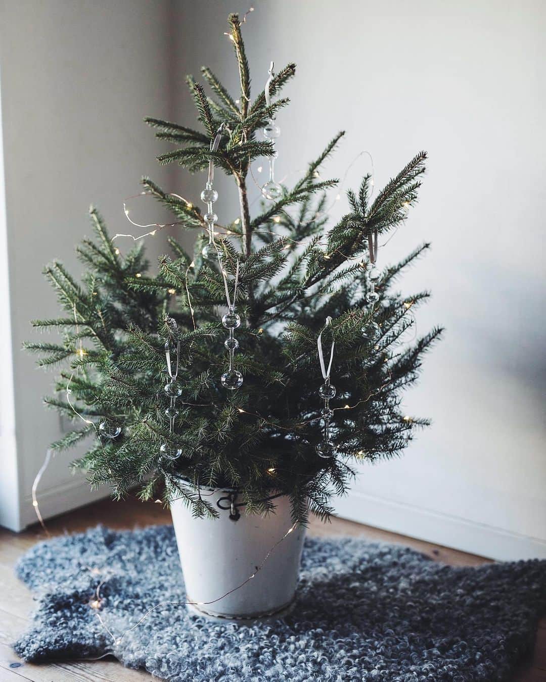 のインスタグラム：「Have a cozy weekend!✨🎄 #Christmas #christmastree #christmasiscoming #クリスマスツリー ドイツトウヒのクリスマスツリー🌲」