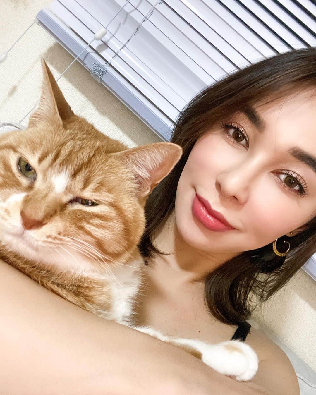 のインスタグラム：「セルフィー好きじゃないねw . Memi não gosta de selfie😅 . Memi doesn’t like selfie!🥲 . . #cat #kitten #pet #instapet #petselfie #gato #セルフィー　＃猫　＃チャトラ　#ペット　#親バカ」