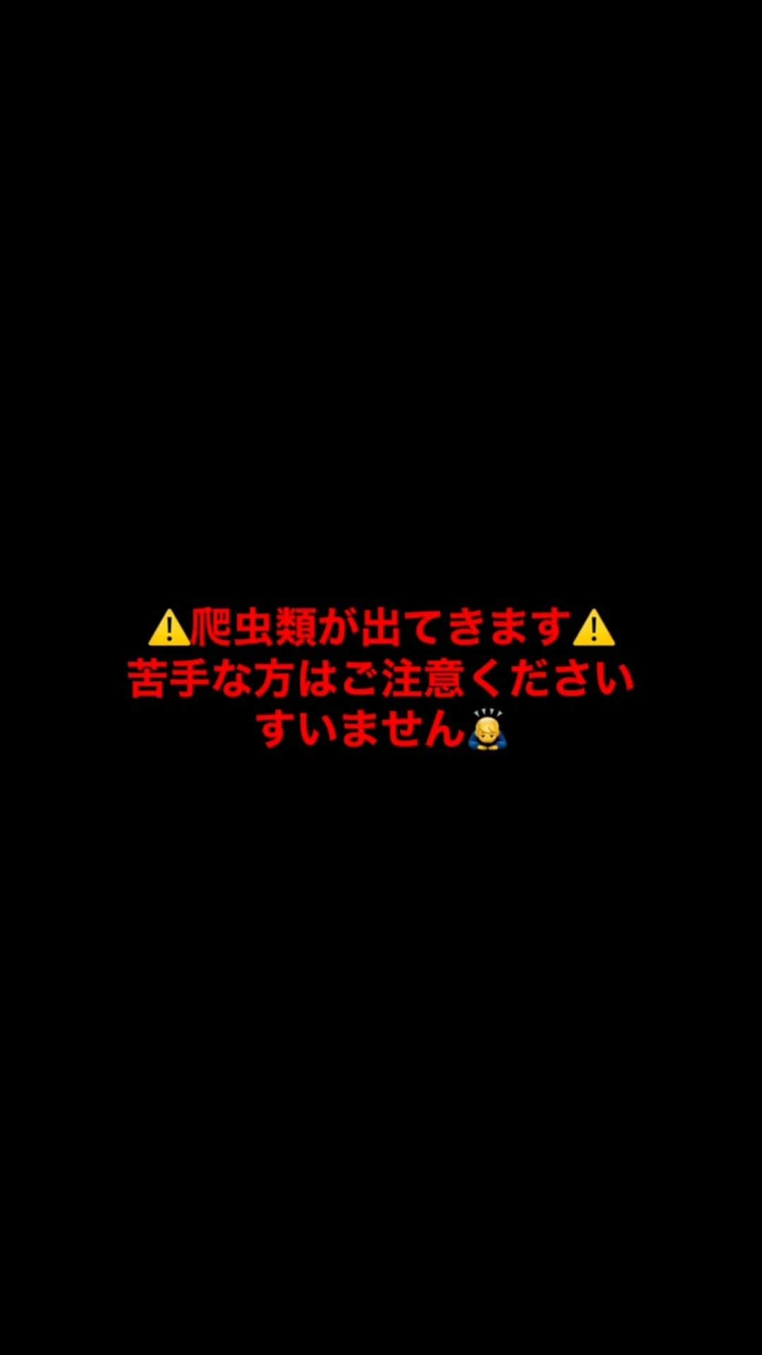 桜井雅斗のインスタグラム