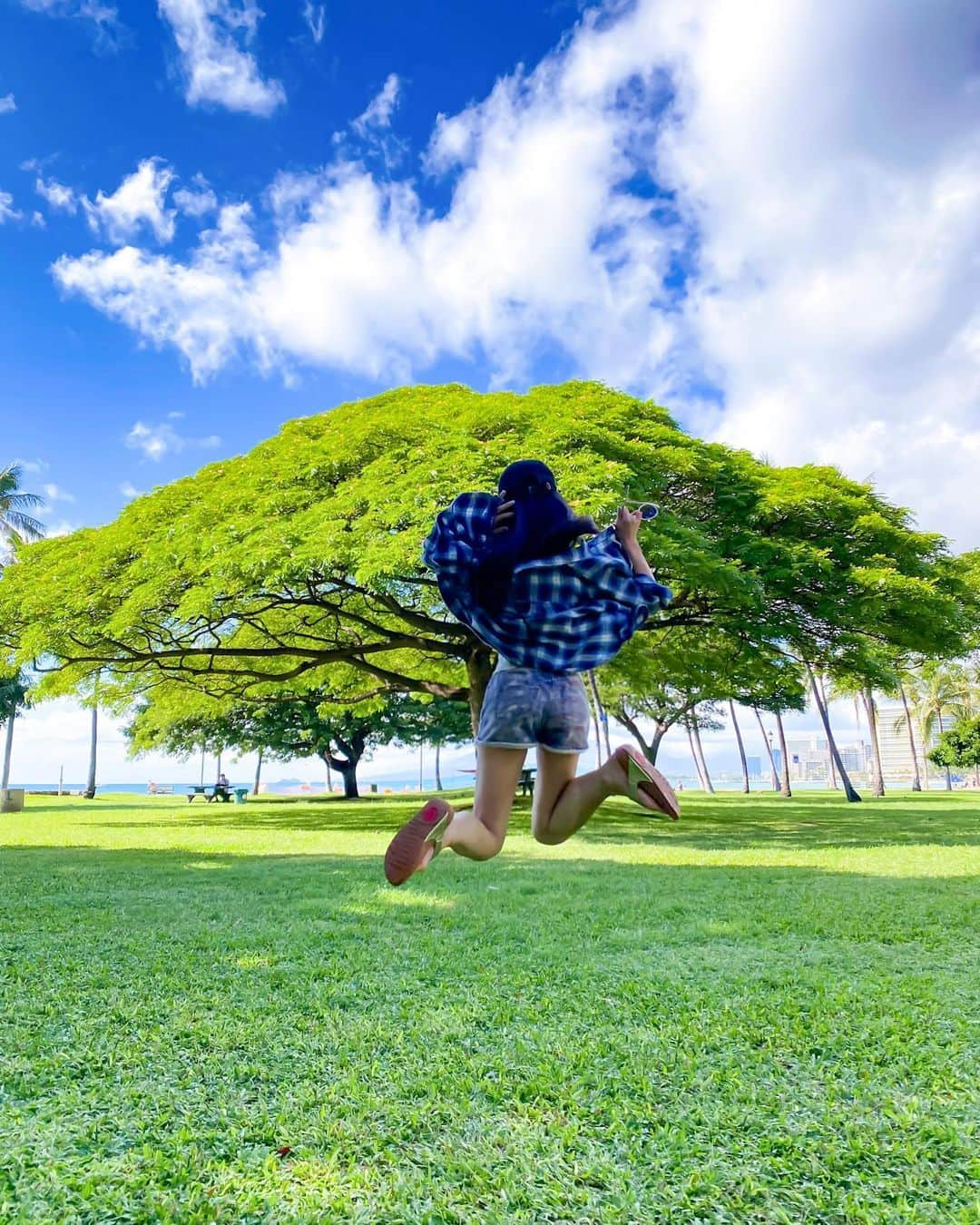 橋口いくよさんのインスタグラム写真 - (橋口いくよInstagram)「🌴november Hawaii🌴2020🔥﻿ 今回の旅のアロハ萌えYouTubeはいつというメッセージたくさんいただいていて、楽しみにしてくれてありがとう。﻿ ﻿ ちょっとまっとってくれなー。﻿ それまでストーリーズコツコツあげます。ハイライトも見てね。﻿ ﻿ 今回、お店や外でたくさんカメラ回すのは疫病防止へのマナー考えてかなり遠慮したの。﻿ ﻿ だけど、ちゃんと撮ってはきたよー！﻿ ﻿ 週末少しでも上げられればいいと思ってるんだけど、明日リモートで朝からテレビ収録があるのだ。いやでもYouTubeも上げたいのジレンマ。﻿ ﻿ 今夜、私がうまく寝なかったらお会いしましょう。﻿ 上がらなかったら寝たと思ってー。﻿ ﻿ 一発目はプレミア公開でみなさんと一緒に見たいと思っているんです。﻿ だって、ハワイにいけたんだものー。﻿ ﻿ YouTubeチャンネル登録まだの方は、インスタプロフィールから飛んで通知をオンにしてお待ち下さい。アップ予定が最速で届くはず！﻿ ﻿ #hawaii #oahu #hawaiitrip #waikiki #hawaii2020 #hawaiistagram  #beach #oceanfront #alohamoe #アロハ萌え #ハワイ #ハワイ旅  #ワイキキ #ビーチ  #ハワイyoutube #ハワイyoutuber #ハワイ好き #40代美容  #40代 #ハワイの今 #2020年11月ハワイ #ハワイユーチューブ #陰性証明書 #kapioranipark #カピオラニ公園 #渡ハ #今のハワイ #ハワイの今」12月5日 21時47分 - ikutorias_secret