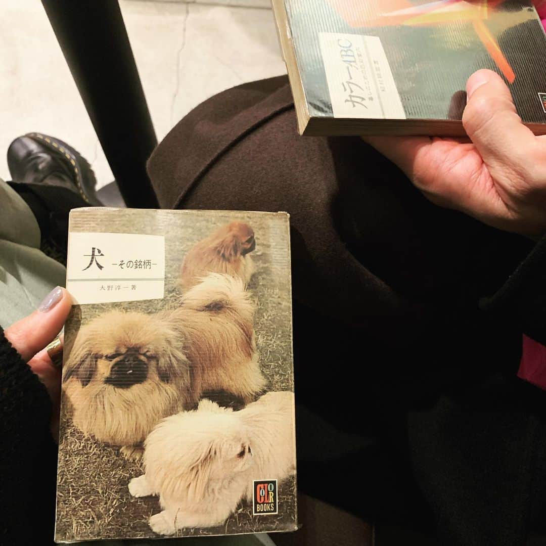 小谷実由さんのインスタグラム写真 - (小谷実由Instagram)「お目当てのカラーブックスを買ってすぐに読む」12月5日 21時53分 - omiyuno