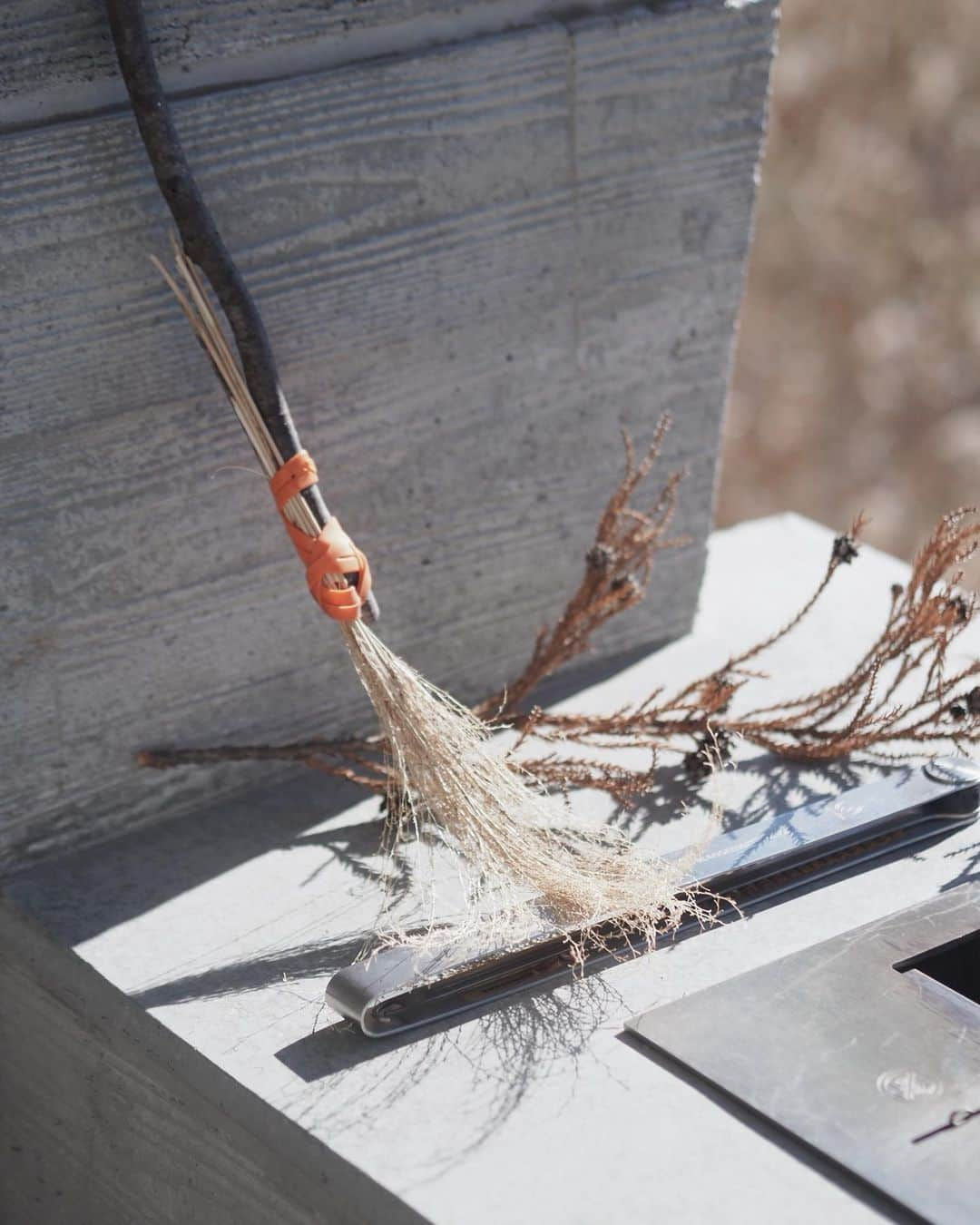 大橋菜央さんのインスタグラム写真 - (大橋菜央Instagram)「She made her own broom in the forest. As you know, to be a witch🧙‍♀️ ﻿ ﻿ ﻿ 宿に到着して最初にMiaがしたこと﻿ ススキと落ちている小枝を使って箒づくり🧹﻿ ﻿ この箒で飛ぼうとしたことは言うまでもなく😁﻿ ﻿ ﻿ ﻿ #魔女の箒 #手作り箒﻿ #星のや富士 #gramping #グランピング﻿ #33monthsold #2y9m #2歳9ヶ月 #たれ目 #たれ眉 #miababyliving」12月5日 22時13分 - naoliving