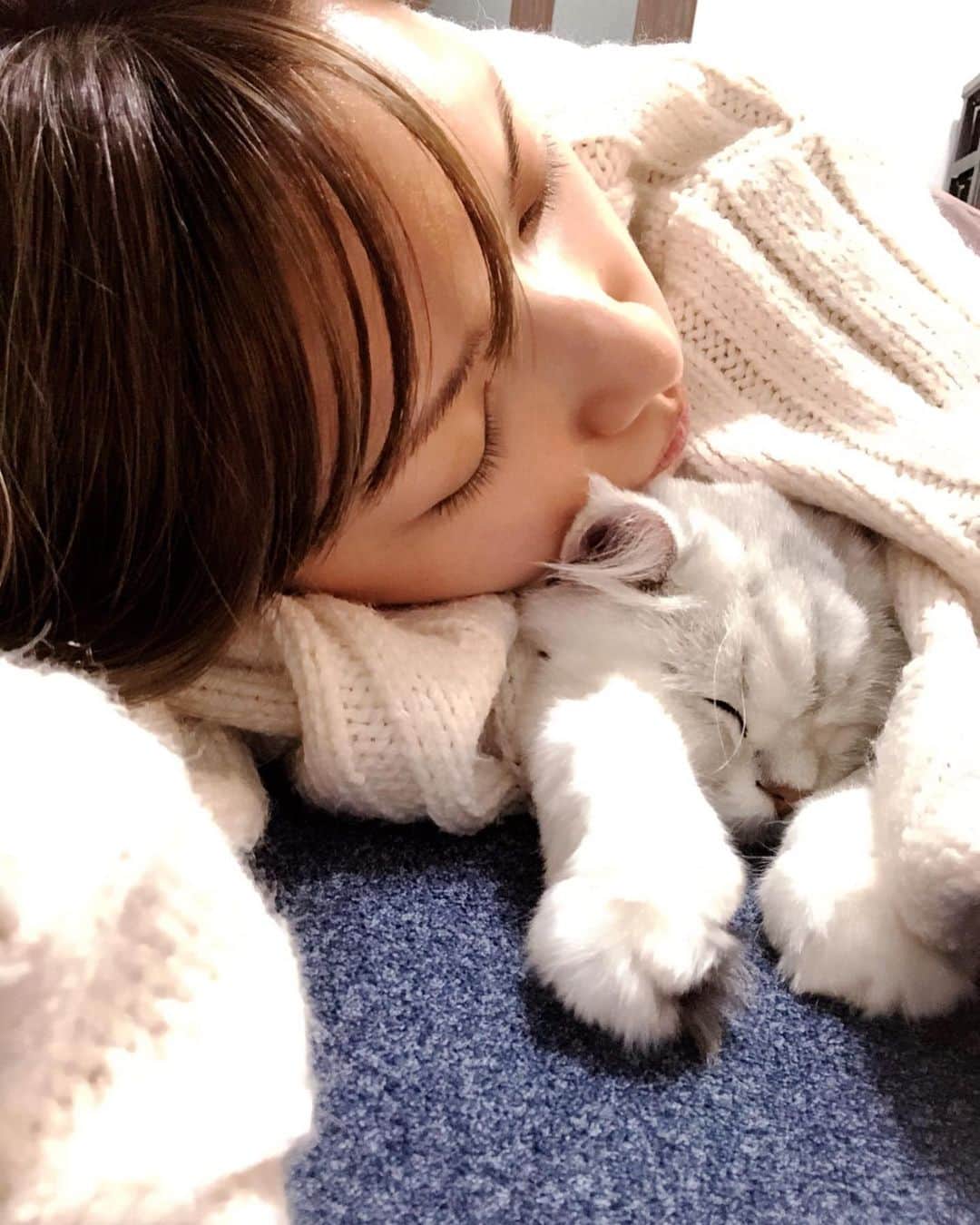 後藤真希さんのインスタグラム写真 - (後藤真希Instagram)「真っ白なオウキくんは私の行くところ行くところひっついてくるの。 クッパの方は気分屋さんだから甘えたい時だけ寄って来る感じ。 オウキくんあったかくてぬくい♡  #癒し #猫 #オウキとクッパ #ぬくぃ #甘えん坊」12月5日 22時14分 - goto_maki923