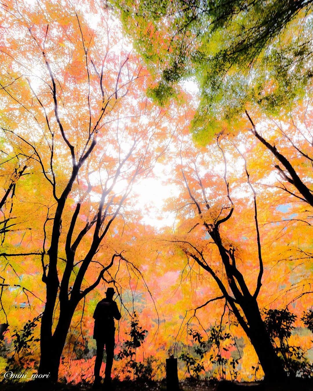 ☀もり、のインスタグラム