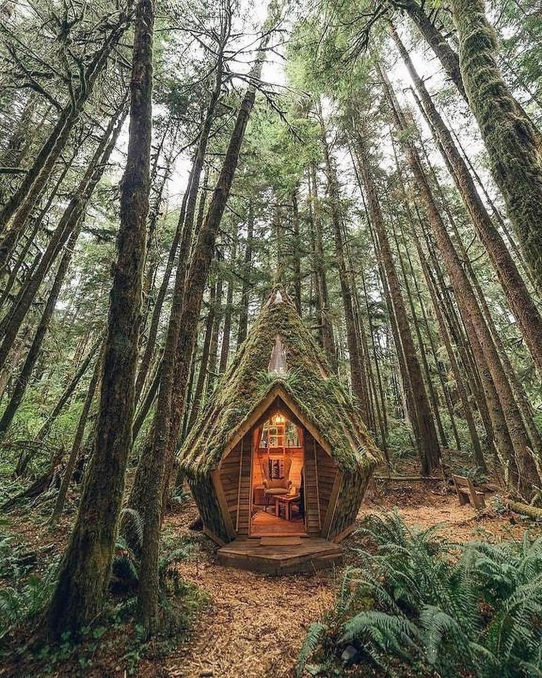 Canon Photographyさんのインスタグラム写真 - (Canon PhotographyInstagram)「What an epic getaway 😍 Photography // @everchanginghorizon Curated by @steffeneisenacher  Cabin by @jacobwitzling and @saraunderwood   #pnw #pacificnorthwest #cabinlife #cabingoals #tree_captures」12月5日 23時10分 - cpcollectives