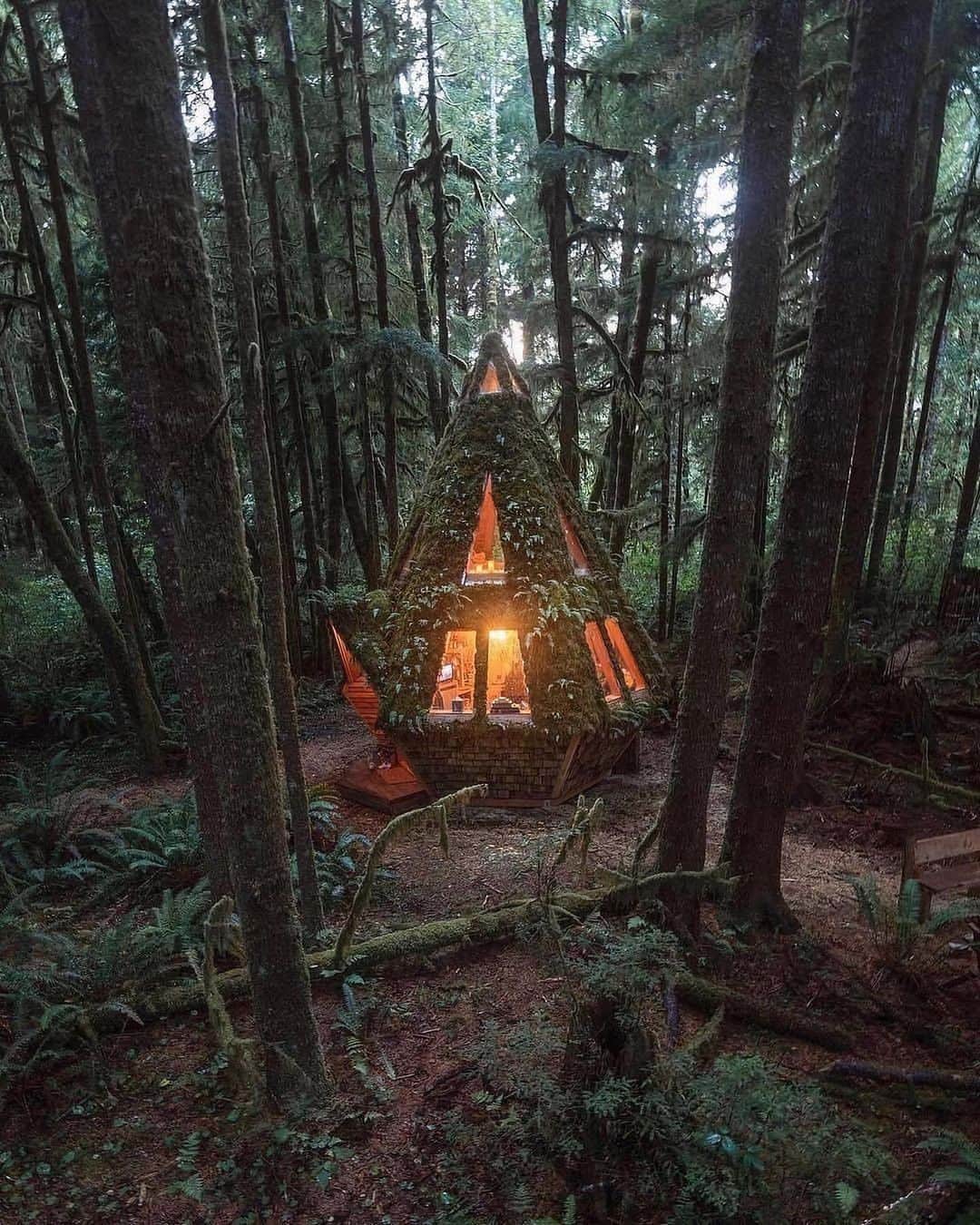 Canon Photographyさんのインスタグラム写真 - (Canon PhotographyInstagram)「What an epic getaway 😍 Photography // @everchanginghorizon Curated by @steffeneisenacher  Cabin by @jacobwitzling and @saraunderwood   #pnw #pacificnorthwest #cabinlife #cabingoals #tree_captures」12月5日 23時10分 - cpcollectives