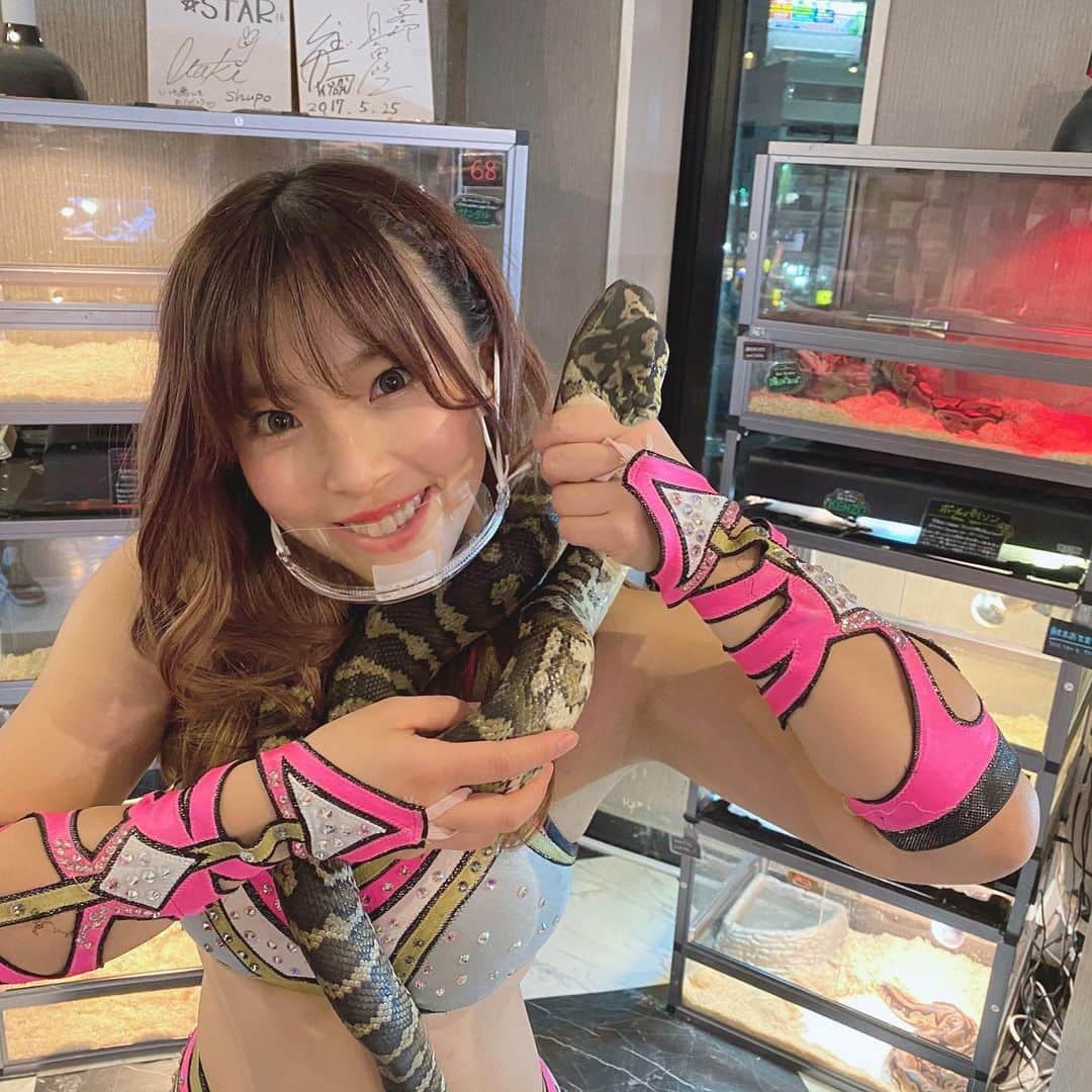 白川未奈さんのインスタグラム写真 - (白川未奈Instagram)「名前は、サンダルちゃん🐍Sooo cute❣️ ・ ・ #大阪 #爬虫類カフェ #ロックスター #爬虫類 #ヘビ #osaka #japan #reptiles #snake #minashirakawa  #prowrestling #prowrestler #stardom」12月6日 8時46分 - mina_shirakawa