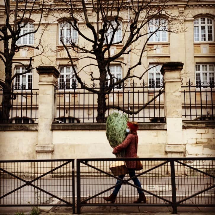 辻仁成さんのインスタグラム写真 - (辻仁成Instagram)「パリの風物詩、クリスマスツリーを買って帰る人、、、について  絵になるパリジェンヌ。  詳しくは日記でね。」12月6日 9時24分 - tsujihitonari
