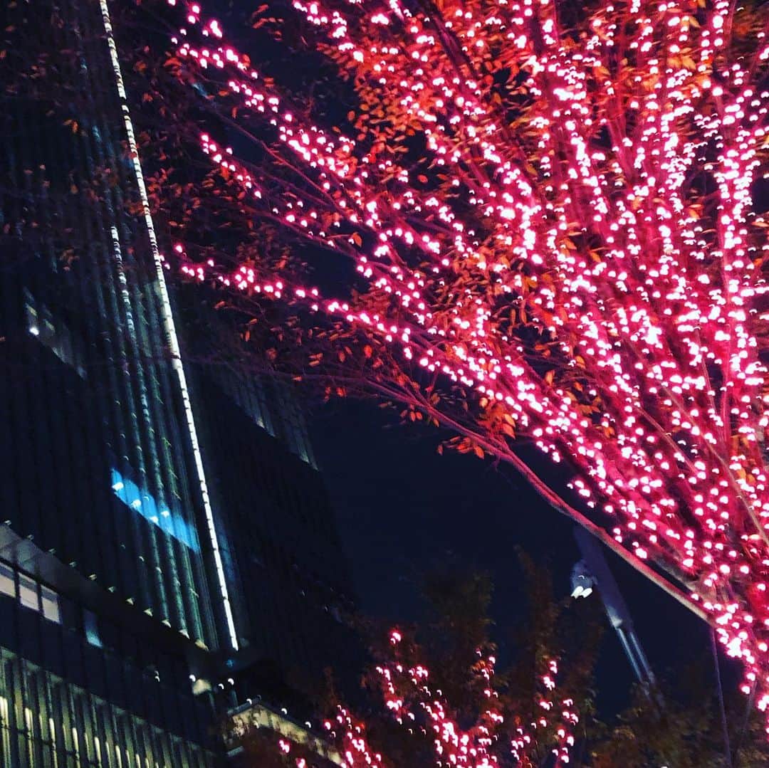 藤田朋子さんのインスタグラム写真 - (藤田朋子Instagram)「#ミッドタウン日比谷  #ほら #クリスマス #なんだか #コロナが嘘のような #夢のような景色 ＃イルミネーション」12月6日 9時28分 - chiendormant
