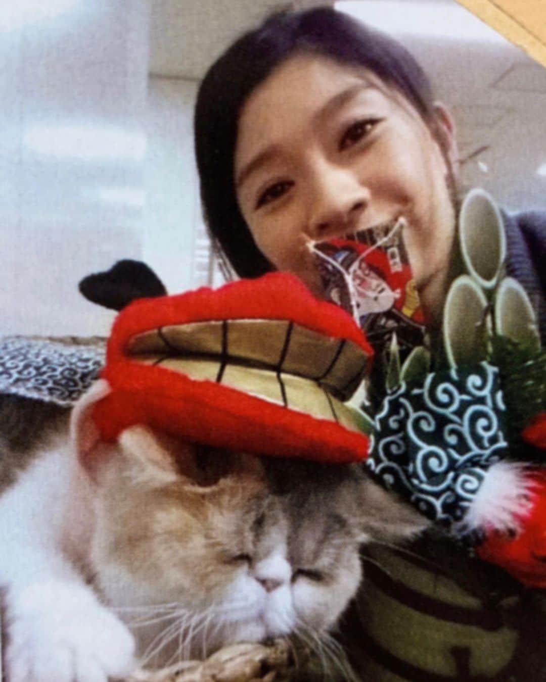 篠原涼子のインスタグラム：「#篠原涼子」