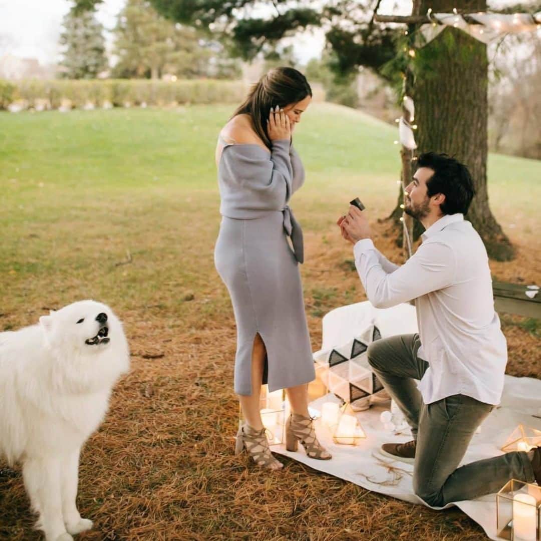 8crapさんのインスタグラム写真 - (8crapInstagram)「My pawrents are getting married! 💍 - Want to get featured like them? Join “The Barked Club” on FACEBOOK and post something now! 👉 barked.com - 📷 @maui.the.samoyed - #TheBarkedClub #barked #dog #doggo #Samoyed」12月6日 1時00分 - barked