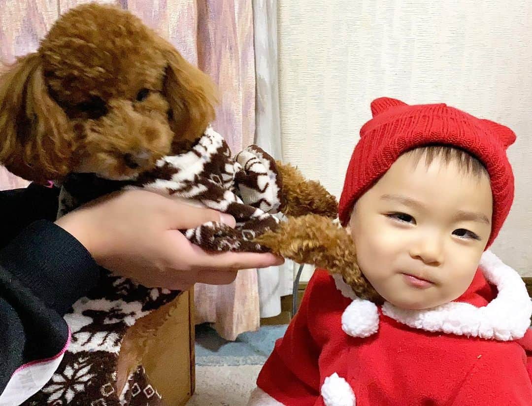 Momoeのインスタグラム