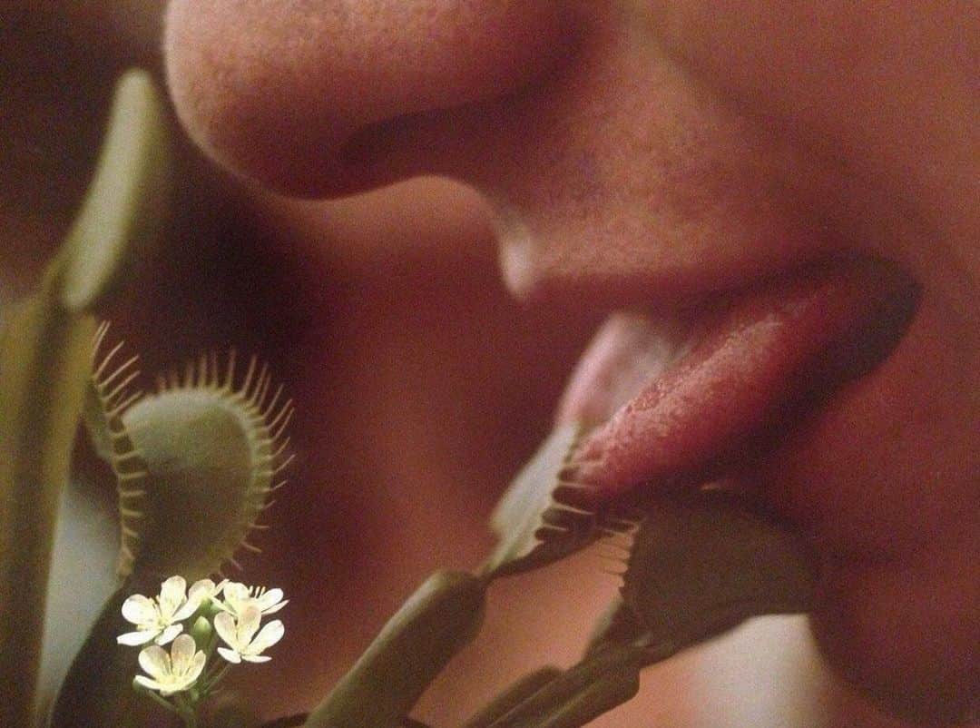 フラヴィア・ルチーニのインスタグラム：「hungry ? 😋 #venusflytrap」