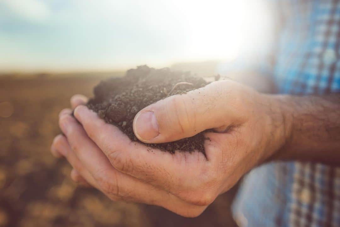 のインスタグラム：「For many people it may just look like dirt. But soil – the complex ecosystem containing minerals and many living organisms – is the foundation for our ability to grow healthy crops and food. For this year’s #WorldSoilDay we talked to Charles Foresman, Sustainable Agriculture Systems Lead at Bayer, about how a better understanding of this important #ecosystem can also help us to farm more #sustainably and at the same time counter #climatechange. 🌿 Read the interview on www.bayer.com/en/news-stories  #HealthySoil #HealthForAll #HungerForNone」