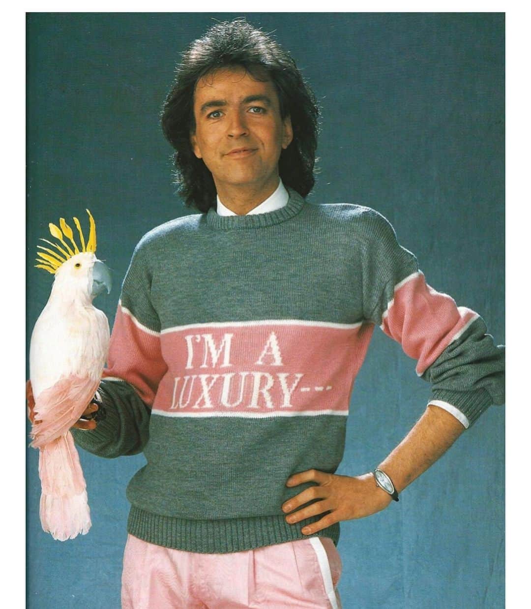 のインスタグラム：「This sweater says it all. #fewcanafford #iamaluxury #saturdayhumor #parrot」