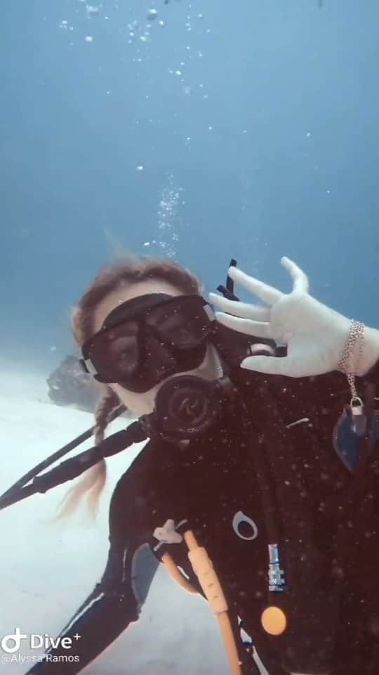 アリサ・ラモスのインスタグラム：「How many sharks can you spot in 30 seconds?? (Wait till you see the end! 😬) 🦈🦈🦈💖 . Here's a sneak peak at what the bull shark dive is like in Play del Carmen! You literally just sit on the floor and watch them swim in circles around you...like a 3D Nat Geo show! . I'll have a full length video up on YouTube but again if you want more info on this dive, how to do it here, and how to book it, check the most recent post on my blog!  . I did this dive with K_KDiving and her and Claire helped shoot some of this footage!  . OH! And if you like this video in real life, please help me out by physically LIKING it!!!! I know it's annoying to ask but that's the oly way you'll keep seeing my posts! Thank you!! . . . #bullsharkdiving #bullsharks #scubadiving #scubadive #playadelcarmen #mexico #girlsthatscuba #gltlove」