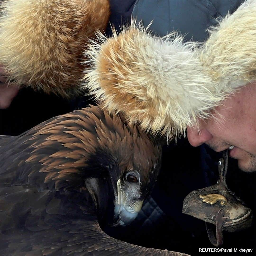 ABC Newsさんのインスタグラム写真 - (ABC NewsInstagram)「People and their tamed birds of prey participate in a traditional hunting contest, near the town of Esik in Kazakhstan. #hunting #falconry #birdsofprey #eagles #hawks #international #sport #tradition」12月6日 5時05分 - abcnews