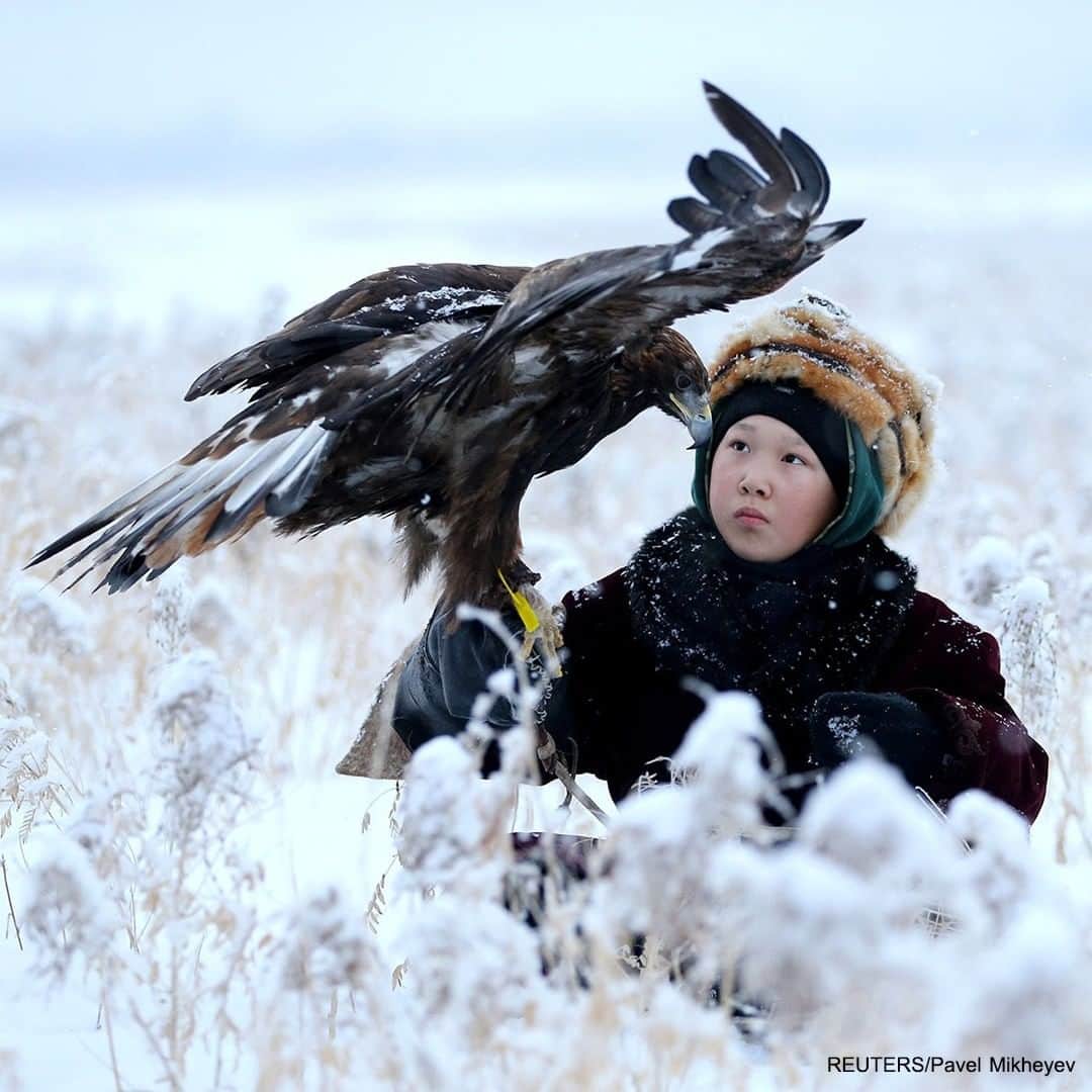 ABC Newsさんのインスタグラム写真 - (ABC NewsInstagram)「People and their tamed birds of prey participate in a traditional hunting contest, near the town of Esik in Kazakhstan. #hunting #falconry #birdsofprey #eagles #hawks #international #sport #tradition」12月6日 5時05分 - abcnews