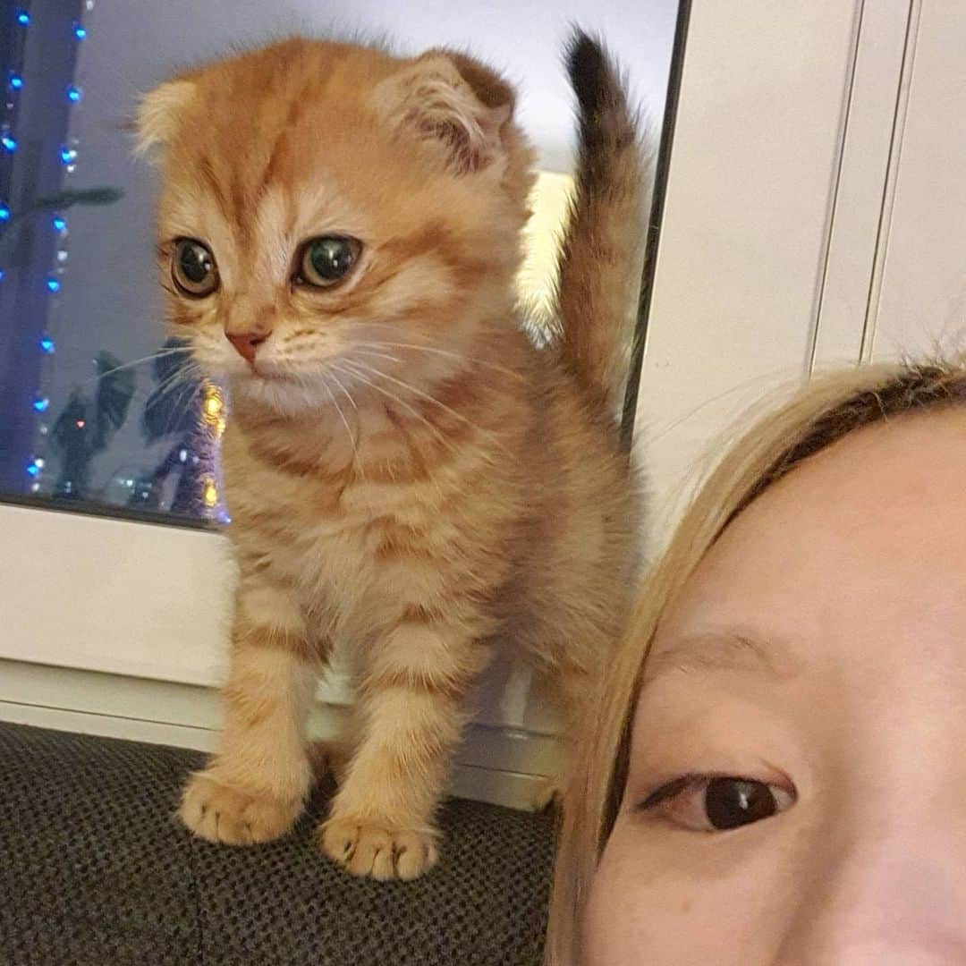 フェルナンダ・リーさんのインスタグラム写真 - (フェルナンダ・リーInstagram)「@butter.pleasee is so cute 🥲」12月6日 5時32分 - warukatta