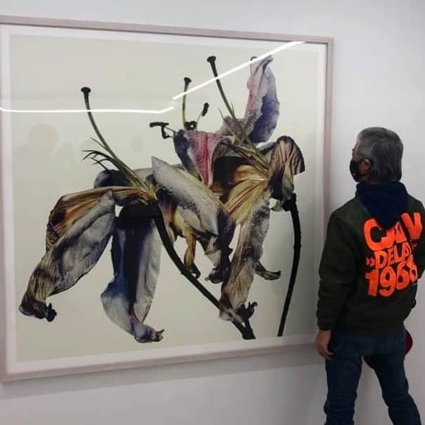 高木完のインスタグラム：「#tajimax  #kazunaritajima  #witheredflowers」