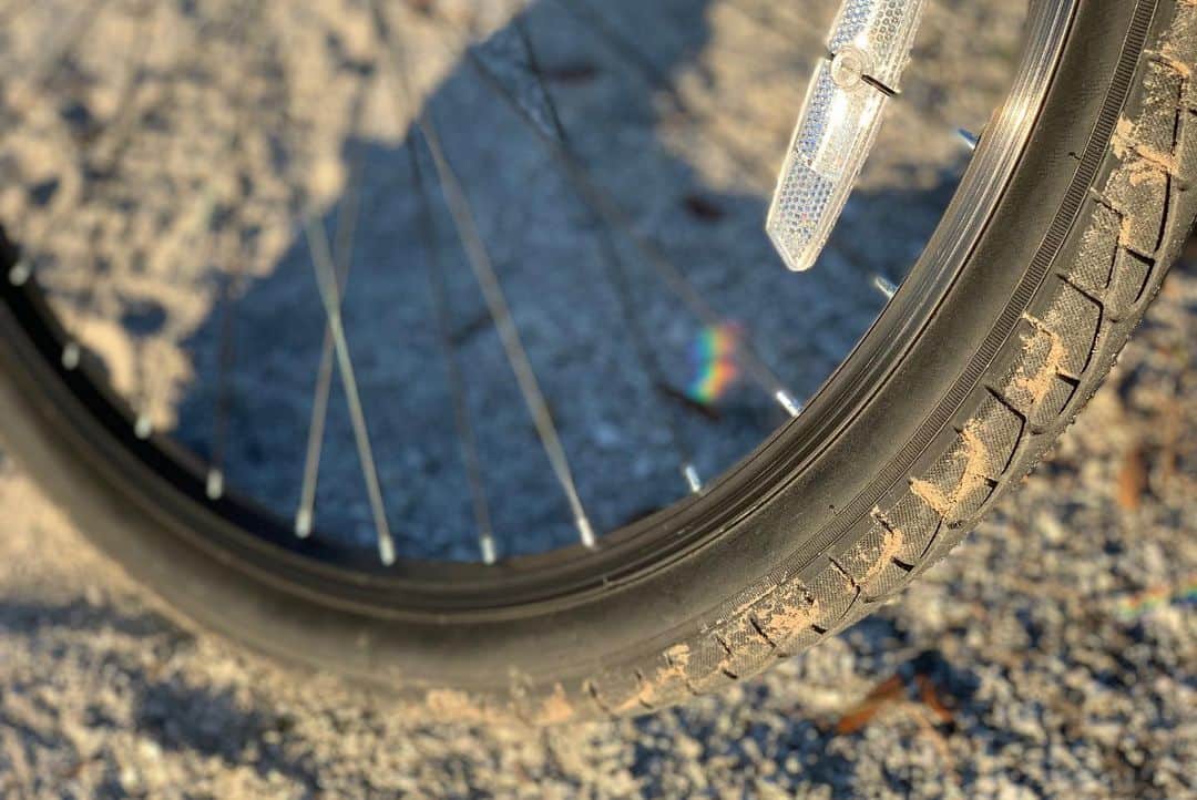 志田光さんのインスタグラム写真 - (志田光Instagram)「Cycling + Camera = Wonderful time ...🚲........ (And this is my first time to see armadillo!!!!!) #cycling #camera #nikond5300 #armadillo #wonderfultime #hikarushida」12月6日 8時24分 - shidahikaru