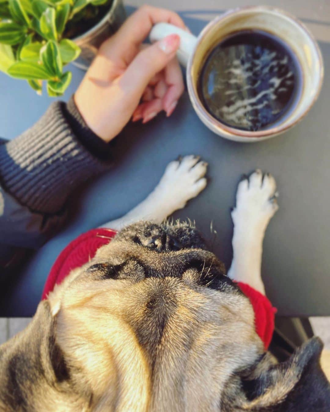 宮崎まこのグルメインスタ