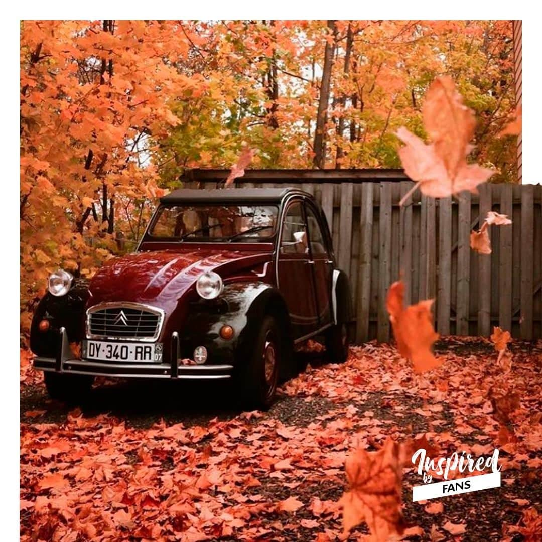 CITROEN JP Officialさんのインスタグラム写真 - (CITROEN JP OfficialInstagram)「真っ赤に染まった紅葉に溶け込む2CV🚗🍁 @spottedcarsquebec さん、素敵な投稿ありがとうございます。  #InspiredbyFans」12月6日 18時00分 - citroen_jp