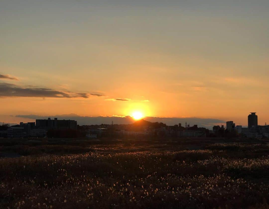 アヤメさんのインスタグラム写真 - (アヤメInstagram)「Sun setting at 16.30☀️ #tamariver #cyclingroad たまたま多摩🚴🏻‍♀️ #多摩川サイクリングロード #聖蹟桜ヶ丘」12月6日 18時18分 - ayame_socks