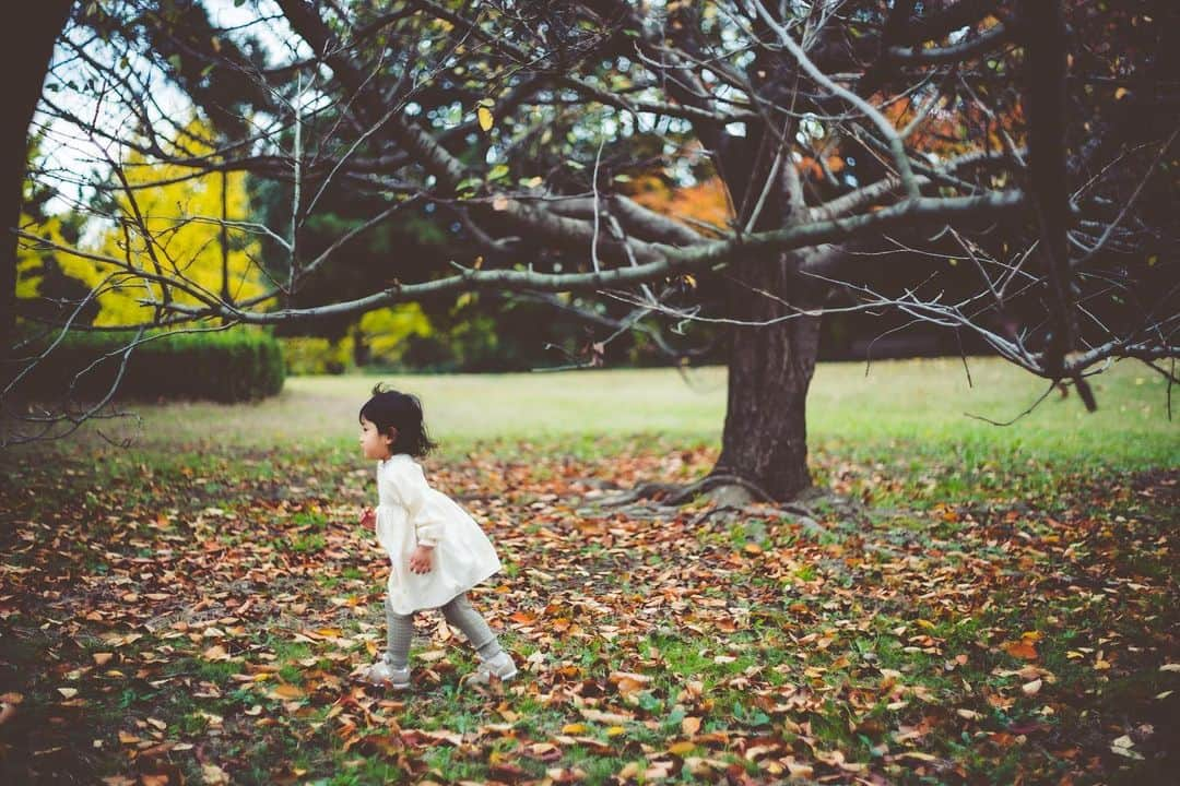 吉田明世さんのインスタグラム写真 - (吉田明世Instagram)「普段ハワイで活躍されていて、 ウエディングフォトやファミリーフォトを撮っていただいたカメラマンのパッカイさんが日本にやってきた！🥳 ということで、帰国される直前に葛西臨海公園で家族写真を撮影していただきました👨‍👩‍👧📷  パッカイさんの撮る写真の優しい雰囲気が大好き。 出産前、家族3人で過ごす残りの時間を、素敵な形で残すことができて本当に嬉しかったです。  また2月に日本に帰ってくるそうなので、今度はまもなく誕生する赤ちゃんも一緒に、家族4人で撮ってもらいたいなぁ…♡  photo by @pakkaiyimphotography   #ファミリーフォト #familyphoto #家族写真 #葛西臨海公園 #娘 #2歳6ヶ月 #女の子 #くせ毛 #くるくるちゃん   娘の洋服は @fith_official です☻」12月6日 18時41分 - akiyo0414