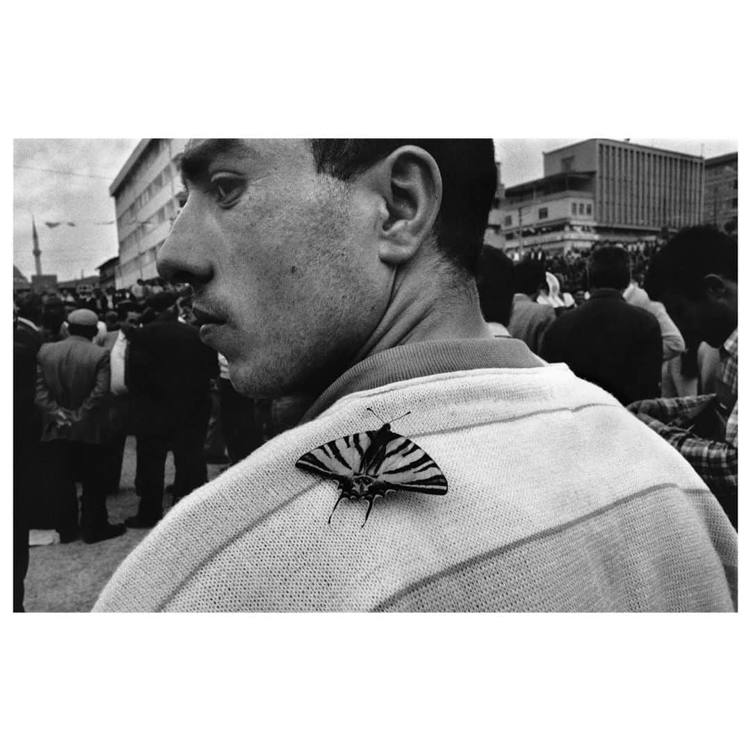 Magnum Photosさんのインスタグラム写真 - (Magnum PhotosInstagram)「Following the fall of Yugoslavia, @nikoseconomopoulos photographed extensively in the Balkan Peninsula. In 1990, he attended a political rally in Yozgat, a city in central Turkey.⁠ .⁠ Economopoulos could sense that violence was about to erupt among the all-male crowd, but before the photographer’s eyes, a butterfly touched down on the shoulder of a man in front of him. He immortalized the fleeting moment of serenity in this image.⁠ .⁠ This picture is now included in Magnum Editions, a collection of classic limited edition prints by Magnum photographers, available in 8×10″. ⁠ .⁠ Shop the collection at the link in bio.⁠ .⁠ PHOTO: Yozgat. Turkey. Political meeting. 1990.⁠ .⁠ © @nikoseconomopoulos/#MagnumPhotos」12月6日 19時01分 - magnumphotos