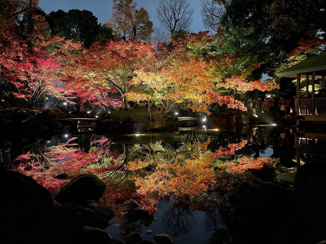 大慈弥レイさんのインスタグラム写真 - (大慈弥レイInstagram)「うつし鏡になっててとっても綺麗でした〜😳✨﻿ ﻿ ﻿ 近場にこんな素敵なところがあったなんて！﻿ ﻿ ﻿ ﻿ #大田黒公園#東京#日本庭園#紅葉#ライトアップ」12月6日 10時34分 - rei_ojimi