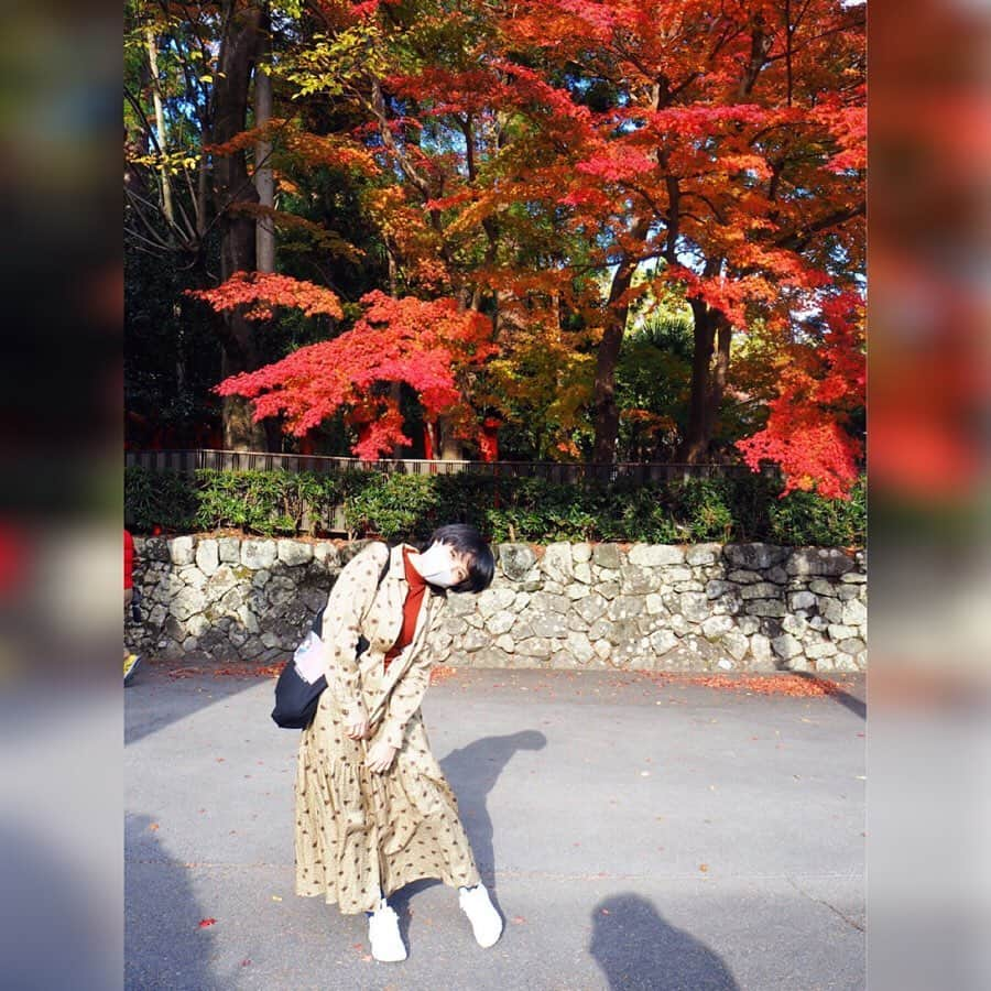 天野莉絵のインスタグラム：「めちゃくちゃ秋やった⛩🍁🍂🌾」