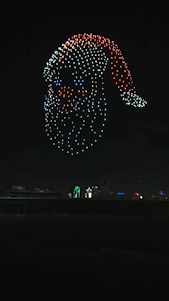 Wal-Mart Stores, Incのインスタグラム：「Watch the magic of drones bringing your favorite Holiday songs to life. #WalmartDroneShow」