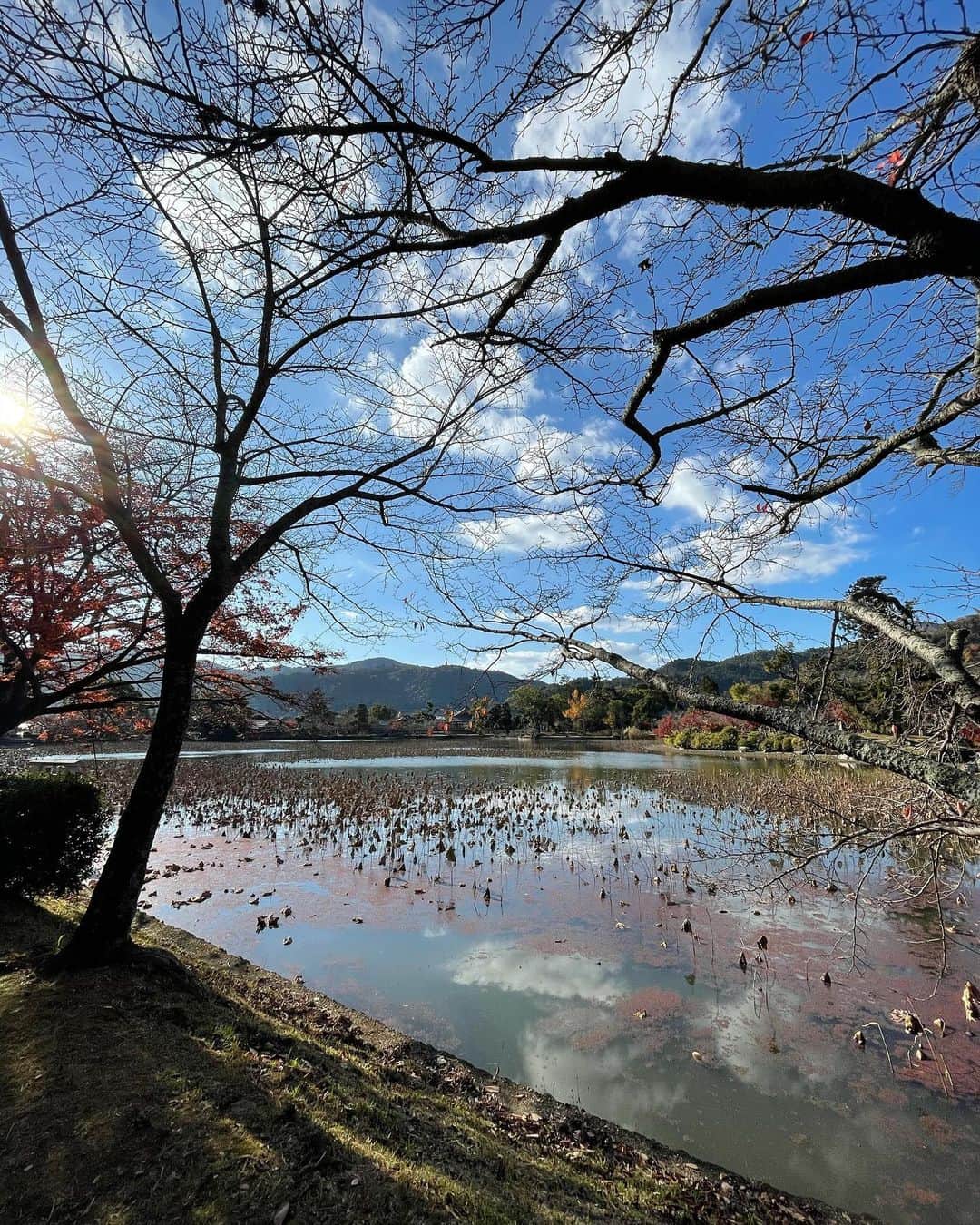 マキろんさんのインスタグラム写真 - (マキろんInstagram)「Kyoto is my favorite place🍁 We can enjoy the beautiful scenery of each season. #山内智恵#マキろん#japanesegirl girl#kyoto#京都#紅葉#紅葉2020 #favoriteplace」12月6日 11時15分 - chieyamauchi