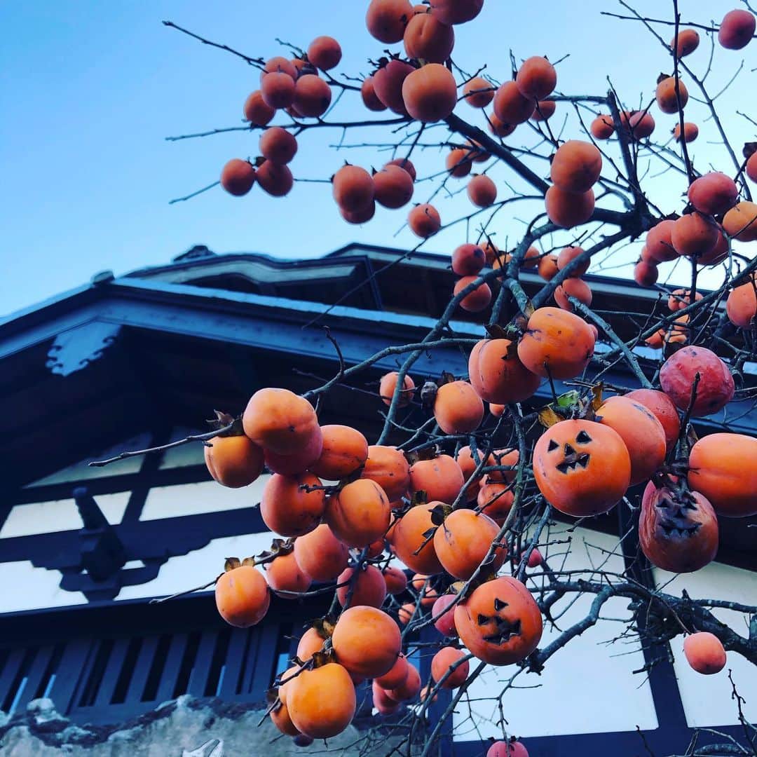 瑛蓮さんのインスタグラム写真 - (瑛蓮Instagram)「おばけ、みつけ！」12月6日 11時11分 - elen_official_422