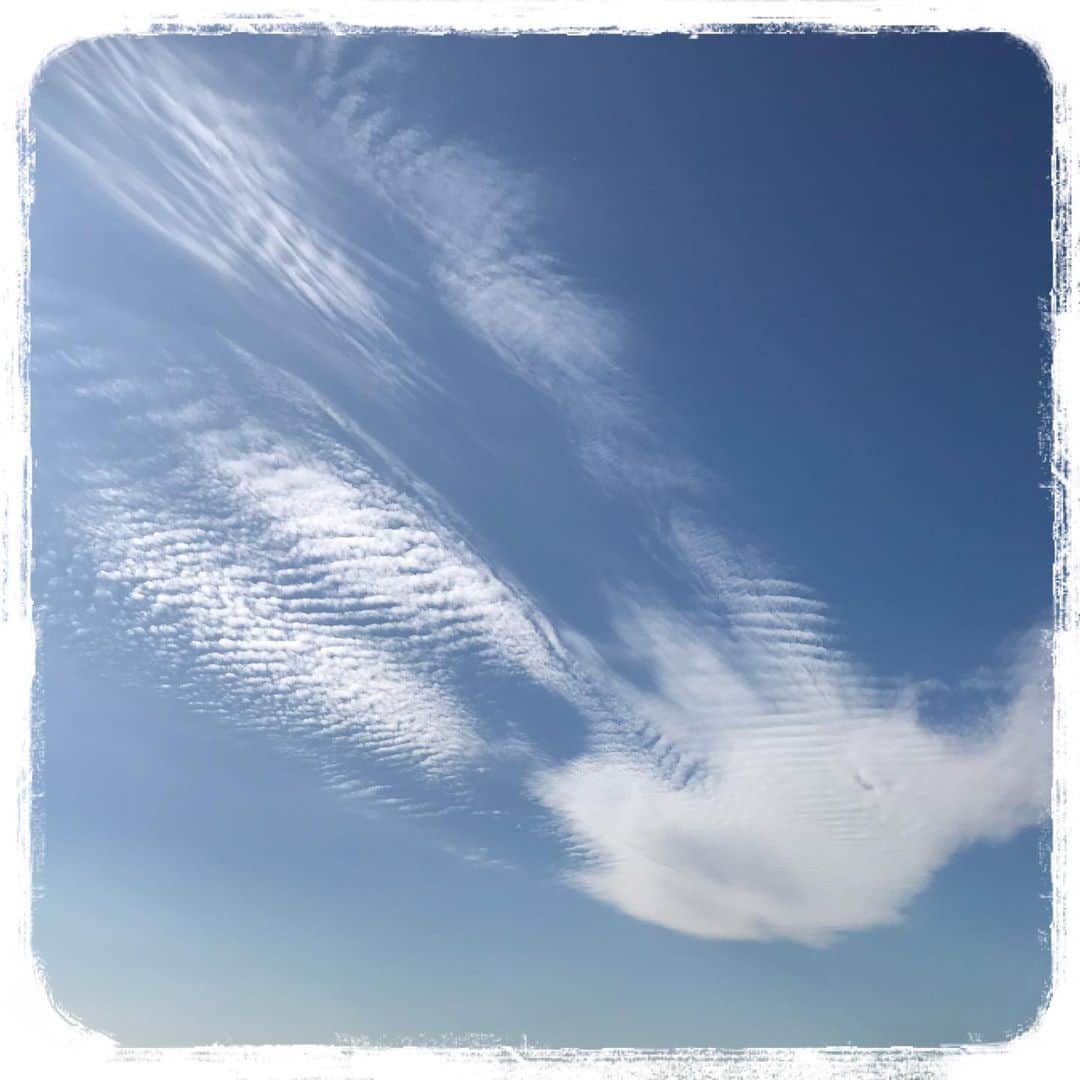 心幸 -Miyuki-のインスタグラム：「手👋 みたいな雲  イマソラ  #イマソラ #イマソラ部  #空が好きな人と繋がりたい」