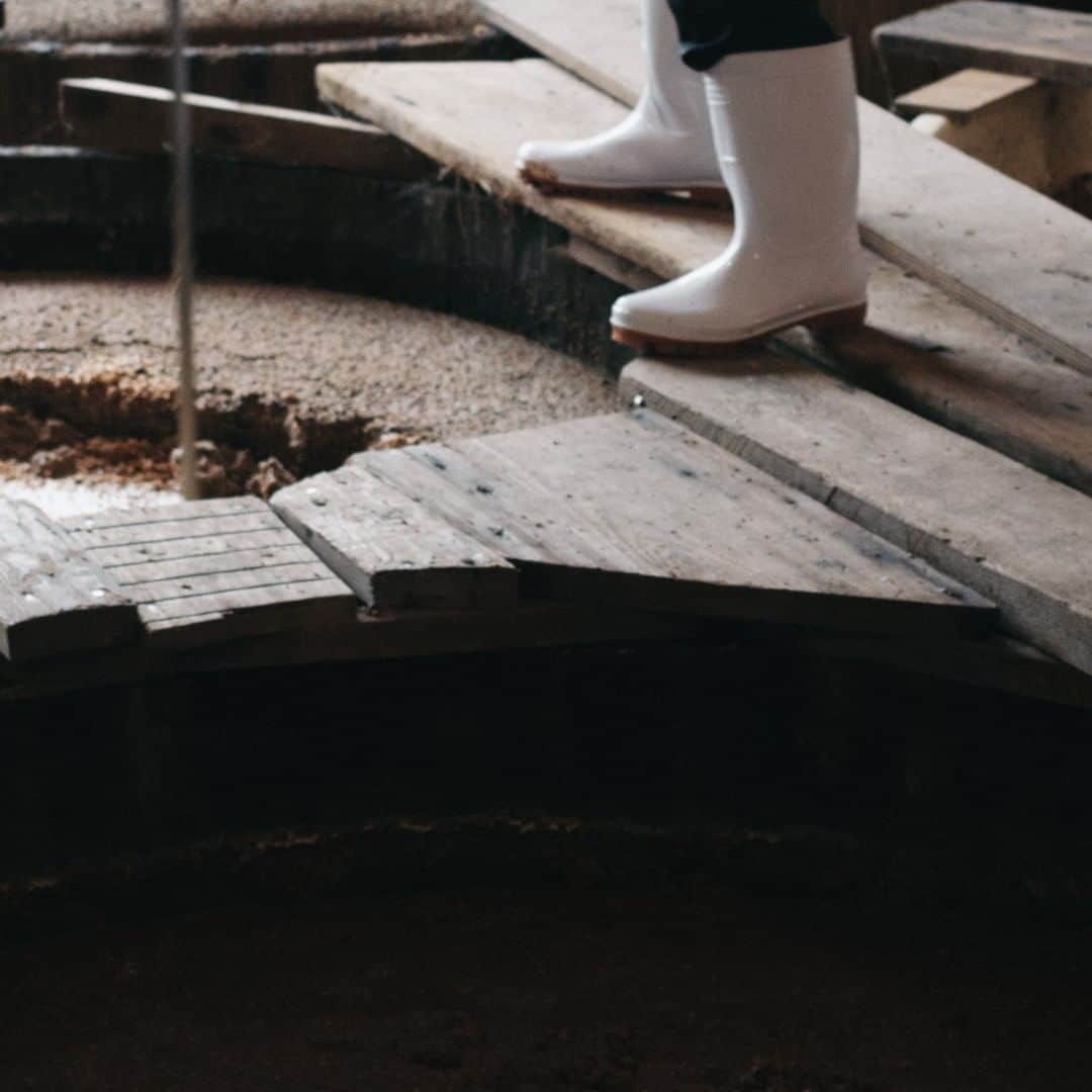 ヒラハルのグルメインスタ