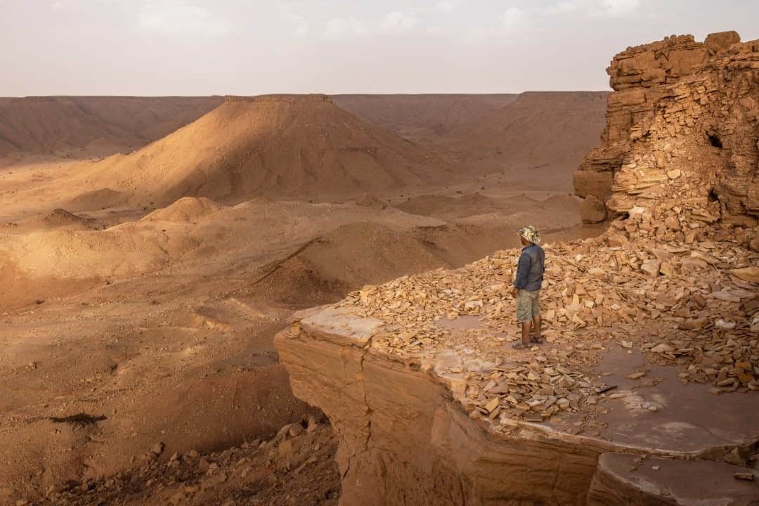 National Geographic Travelさんのインスタグラム写真 - (National Geographic TravelInstagram)「Photo by @paoloverzone / This is the view from the Gara Sbaa formations of the Kem Kem Group in southeastern Morocco. The formations, with strata dating back to the late Cretaceous, are a true paradise for paleontologists. The view after a one-hour hike is breathtaking. Follow @paoloverzone for more photos and stories.」12月6日 12時35分 - natgeotravel