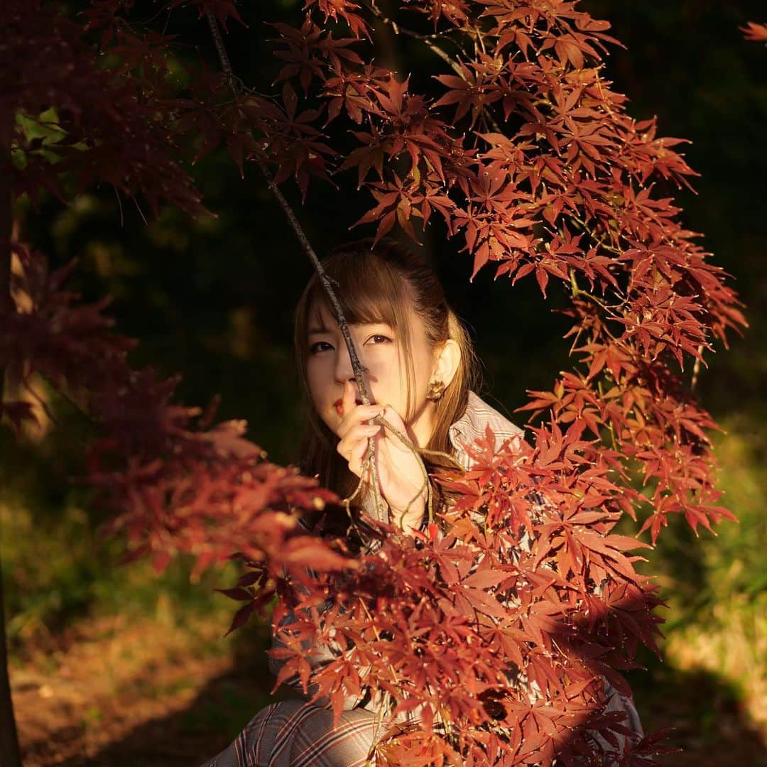 かねさだ雪緒さんのインスタグラム写真 - (かねさだ雪緒Instagram)「去年撮って頂いた紅葉🍁 ずっとアップ出来ないままちょうどいいシーズンになってしまいました💦 今年はあまり外出できなかったけど 来年の今頃は綺麗な空気を思いっきり吸いながら自由に出かけられる秋になりますよう…🍁  photo katsumi1220d  #紅葉 #ポートレート #新宿御苑」12月6日 13時07分 - yukiokanesada