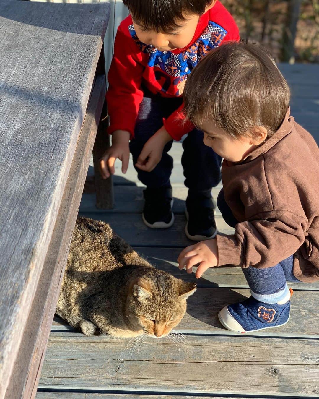 のインスタグラム：「次男が1歳になりました🌞🌞 My younger son turned 1 the other day🌞🌞」