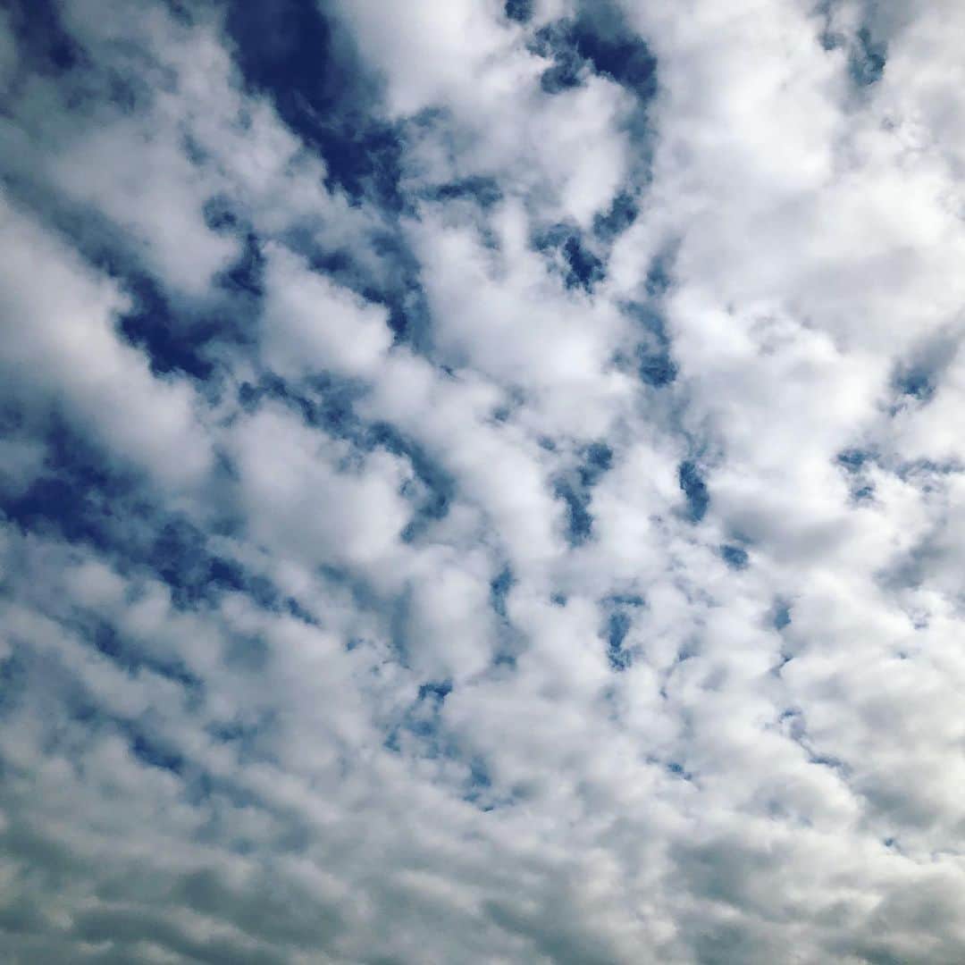 川坂勇太さんのインスタグラム写真 - (川坂勇太Instagram)「昼と昼過ぎ  #いまそら #そら」12月6日 14時17分 - yutakawasaka