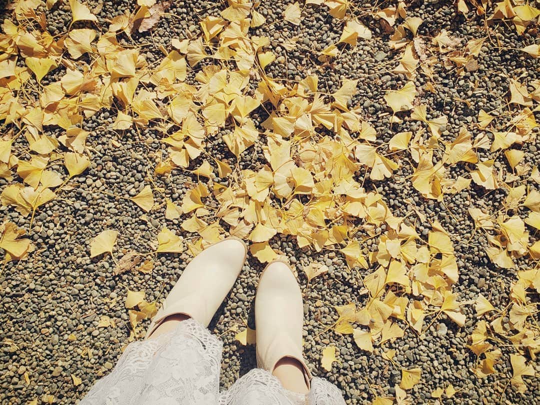 葉山いくみのインスタグラム：「秋を感じる🍠」