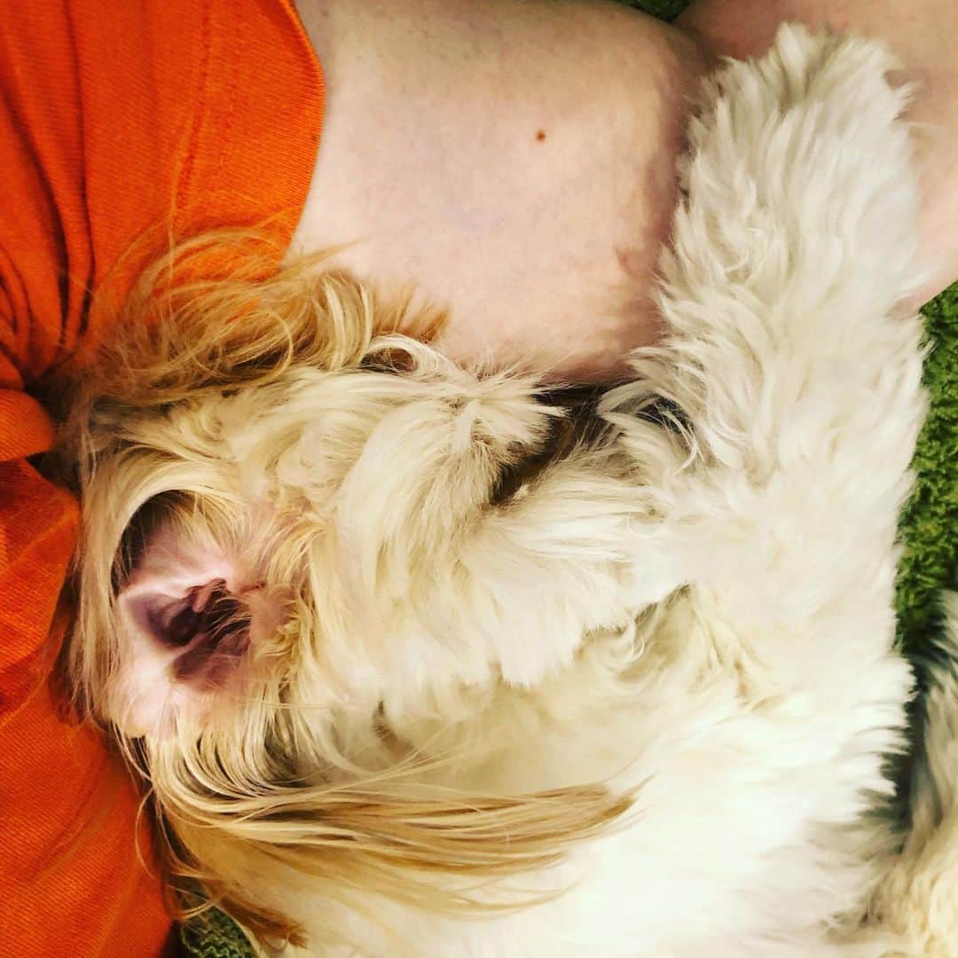 北山陽一のインスタグラム：「なにそのねかた。#きたやまおもち」