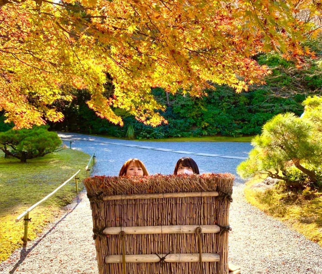 一瀬優美さんのインスタグラム写真 - (一瀬優美Instagram)「いっぱい写真ある🤭💕 #京都観光」12月6日 14時39分 - yuumi_ichinose
