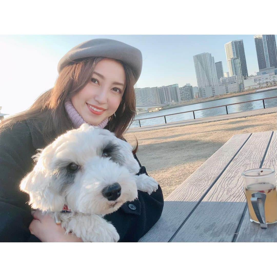 有村実樹さんのインスタグラム写真 - (有村実樹Instagram)「☕️﻿ 久しぶりに外でワンドリンク。﻿ ﻿ 人との距離がしっかりとれる屋外で、空いてる空間を見つけました😊﻿ ﻿ イリス、顔おおきくてかわいい笑﻿ モコモコになってきました。﻿ ﻿ ﻿ #家族 #家族の時間 #イリス #iris #繁殖引退犬 #シーリハムテリア #犬のいる暮らし #sealyhamterrier」12月6日 15時54分 - arimura_miki