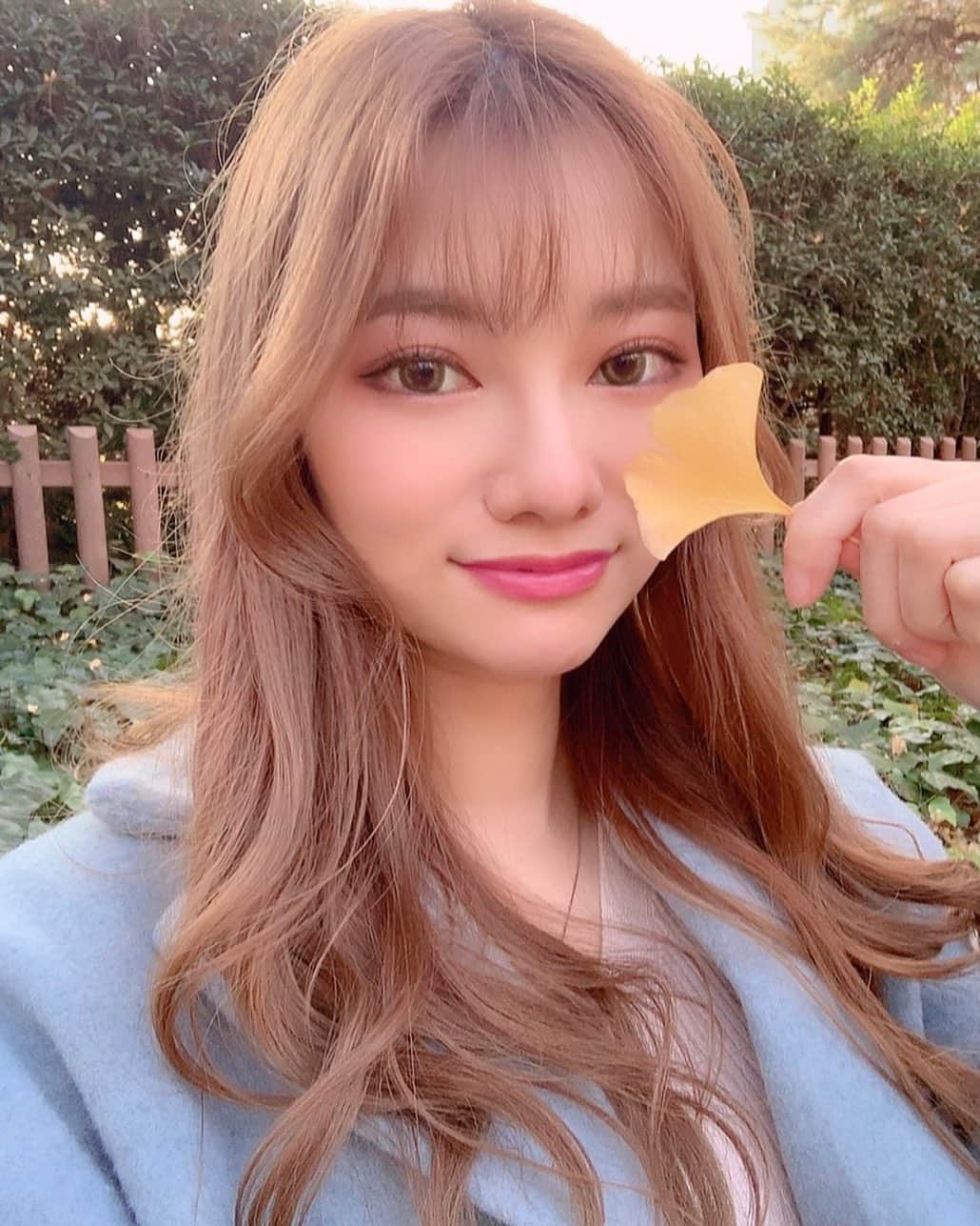 のインスタグラム：「〜❤️ Netflix「エミリー、パリへ行く」 めちゃくちゃ面白い😂💓 フランス人のイメージそのままだけど😄 実際は違う気がするよ😄 フランス人に話したら、やはり、 こんなフランス人あまり居ないよ！人による！って否定するとこも、、、 ああ笑笑フランス人だわっ笑笑 他人の意見を尊重するからこそ個性を大事にしている、自由な方々😍💓 一緒に居て楽しい😉❤️ 恋に積極的なのも、素敵💕 . . . . . . . . . . #fallinlove #tomberlamour #紅葉　#사랑에빠지다　#amore #amour #エミリーパリへ行く  #netflix #amazonprimevideo #ネットフリックス  #ネトフリ」
