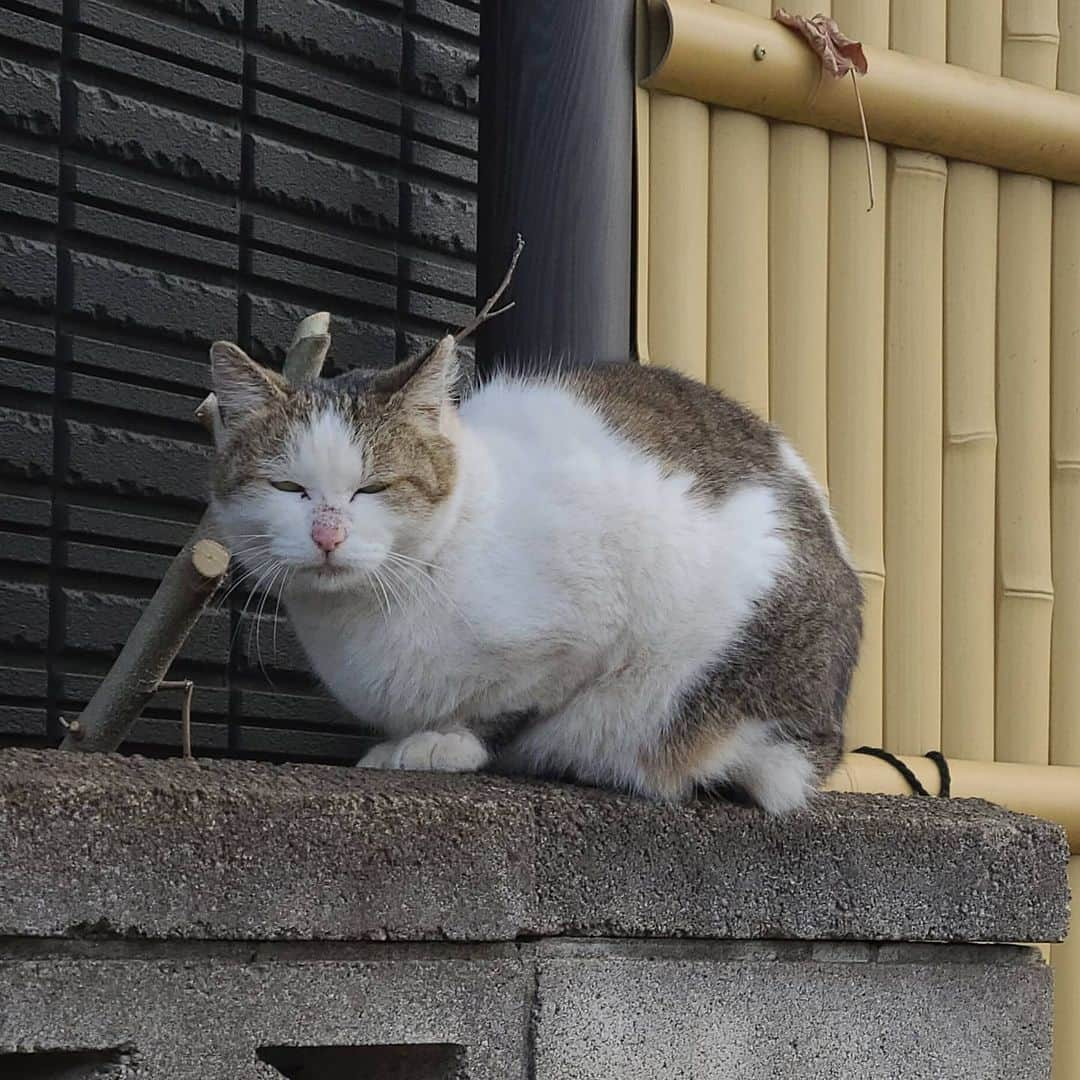 三宅裕子のインスタグラム